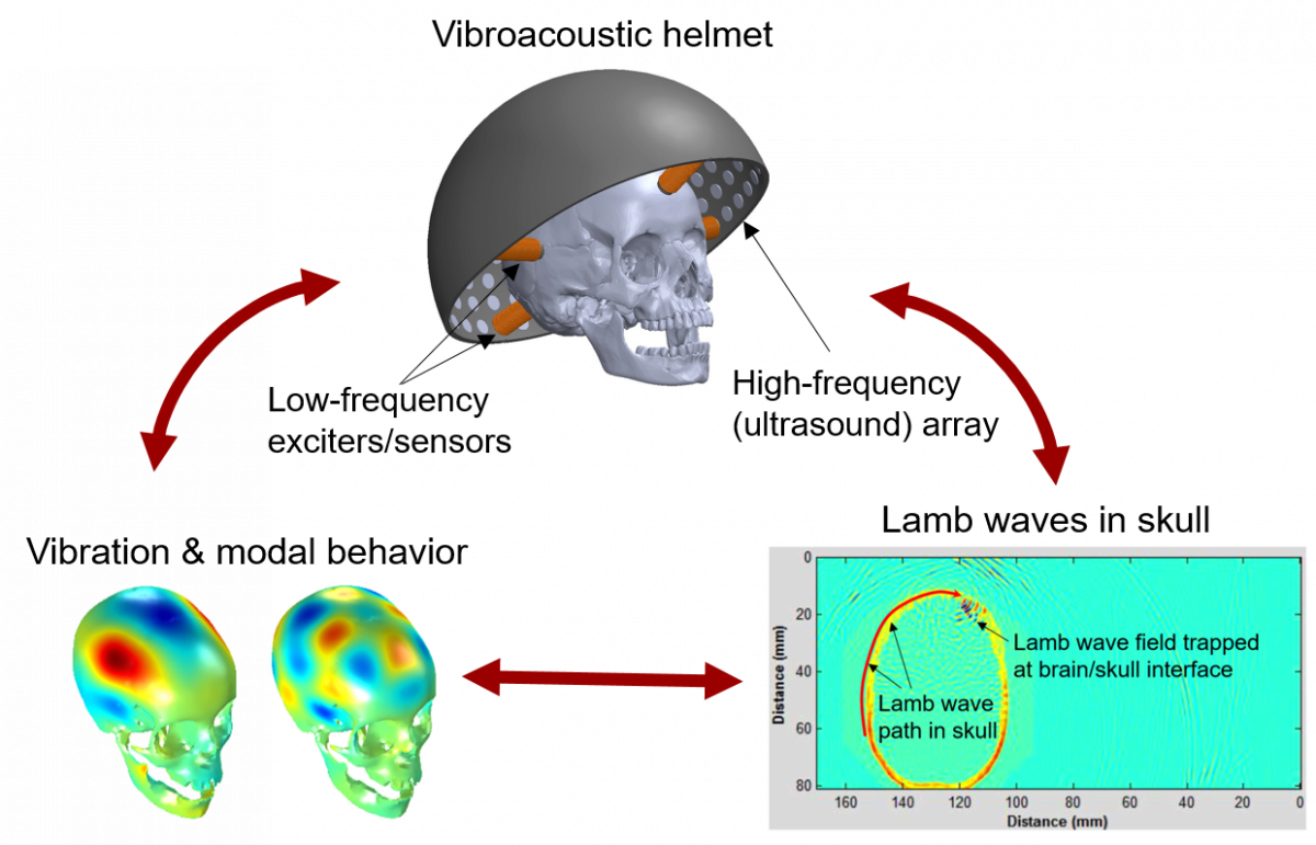 Schematic of how the researchers will investigate  vibration and wave propagation characteristics of the skull-brain system over a broad frequency range