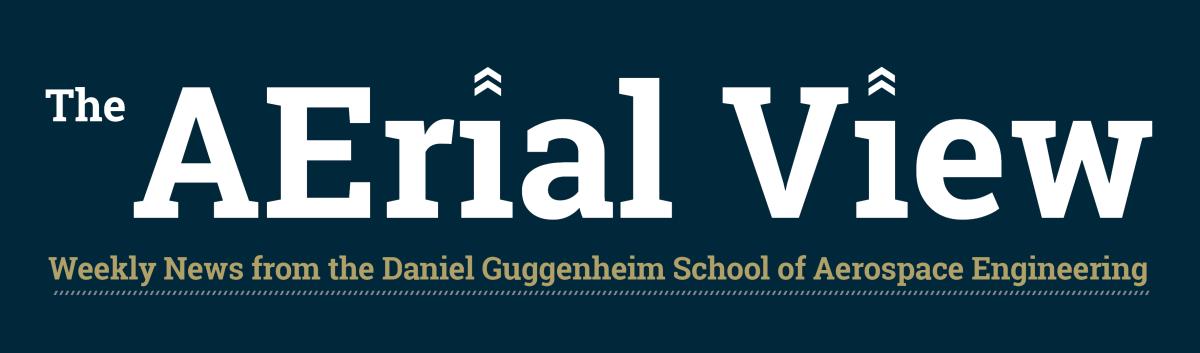 the aerial view, ae school newsletter