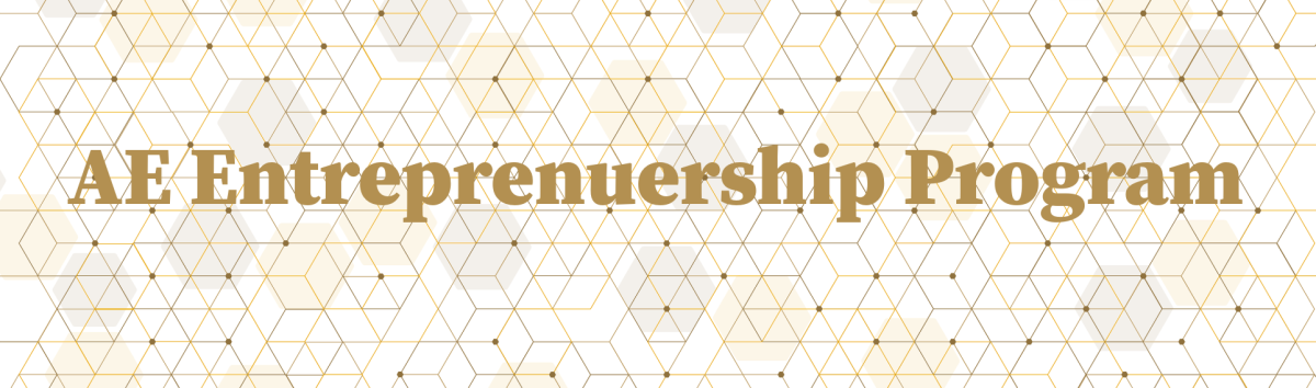 ae entrepreneurship program header.png